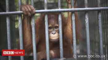 New global extinction target proposed