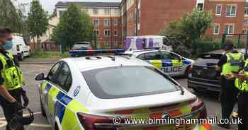 Police in 'all out' search following alleged toddler abduction