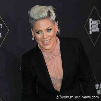 Pink donating to NAACP to 'help fight for racial justice'