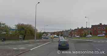 The £192,000 plan to prevent flooding in Barry with more trees