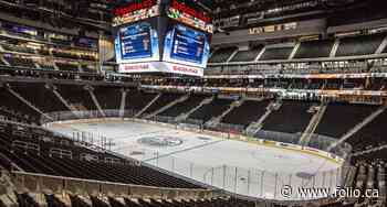 Hosting NHL playoffs could help Edmonton attract investment and talent, say experts - Folio - University of Alberta