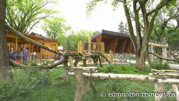 The Edmonton Valley Zoo reopens this Monday. Here's what that will look like. - CTV News Edmonton