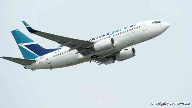 WestJet joins airline and tourism businesses in calling for government to encourage travel