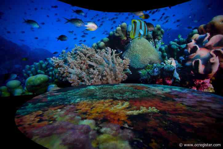 Aquarium of the Pacific to reopen with new exhibits and safety guidelines