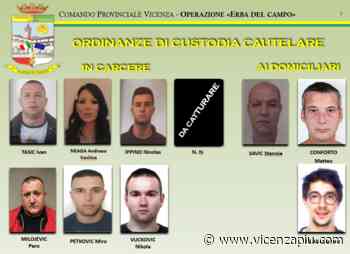 “Erba del Campo”, camion di marijuana dalla Spagna a Vicenza: 10 arrestati e 17 indagati - Vicenza Più