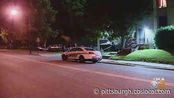 Man In Custody After Firing Shot Inside Senior Living Facility In Hill District