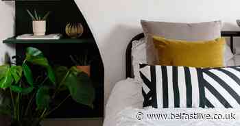 Best Belfast budget and luxury interior design Instagram accounts to follow now - Belfast Live