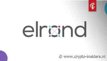Elrond (ERD) looft $60.000 uit als je zijn blockchain-netwerk kan kraken - Crypto Insiders