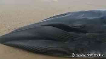 Pryder am forfil mewn trafferth yn afon Dyfrdwy