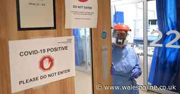 More than 45,000 in Wales wait nearly nine months for an operation as hospitals focus on coronavirus - Wales Online