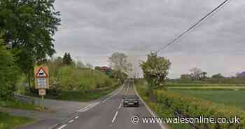 Driver killed after attempting to overtake 'probably six' cars at once - Wales Online