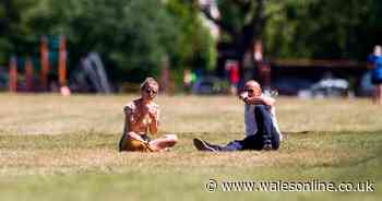 When the Met Office says summer weather will return to Wales - Wales Online