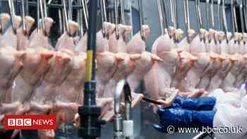 Chlorinated chicken concern grows among Wales' farmers - BBC News