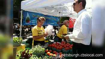 Farmer’s Market In Lower Burrell Reopens