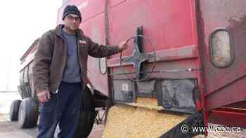 Farmers contest minister's claim that grain-farmers' carbon costs are tiny