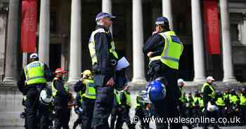 Call to name 'abhorrent' man urinating next to memorial to Pc Palmer