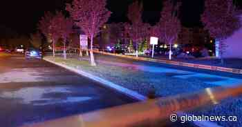 Man dead after overnight shooting in northeast Edmonton