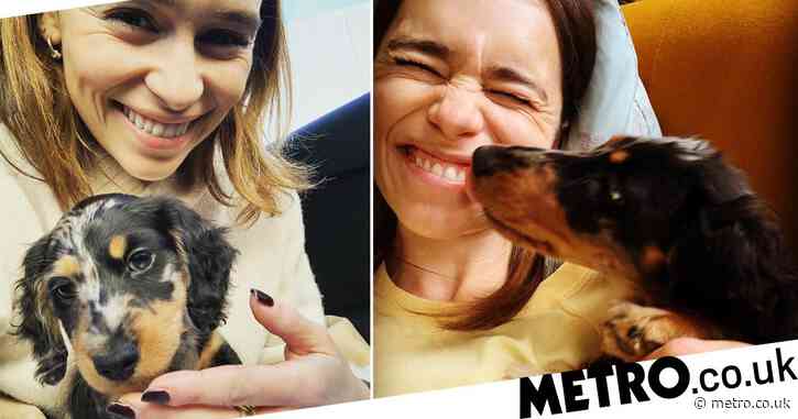 Every dog picture Emilia Clarke has posted of sweet pup Ted because we could all use some of his cuteness