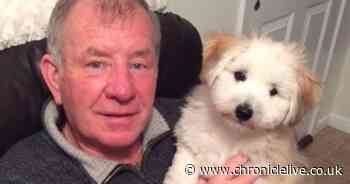 Man diagnosed with cancer after taking test 'just in case' he had disease