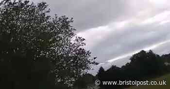 Police 'block exit of woods' after reports of man with gun