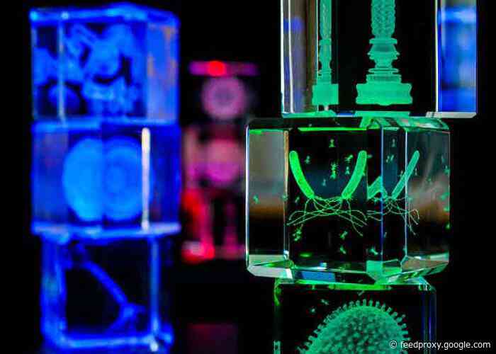 Microcosm in glass hit Kickstarter from €13