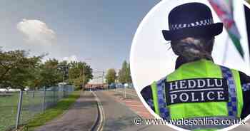 Man left with 'substantial facial injuries' after alleged early-morning attack