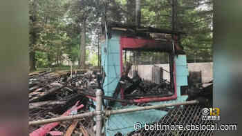 Lochearn Community Club Swimming Pool Burns Down On Open Day - CBS Baltimore