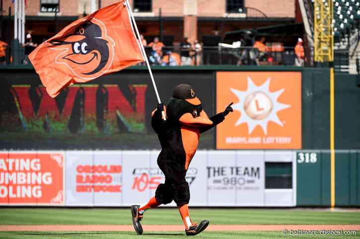 Oriole Bird To Be Inducted Into Mascot Hall Of Fame