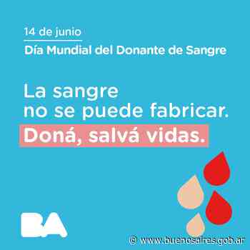 14 de junio, Día Internacional del Donante de Sangre | Noticias - buenosaires.gob.ar