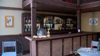 Saskatchewan man’s squirrel saloon has clientele going nuts