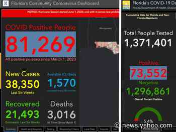 The woman who said she was fired from the Florida Health Department for refusing to alter coronavirus statistics is now publishing data on her own