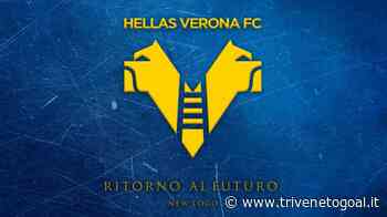 Verona, ecco il nuovo logo dell'Hellas: back to the future - Trivenetogoal