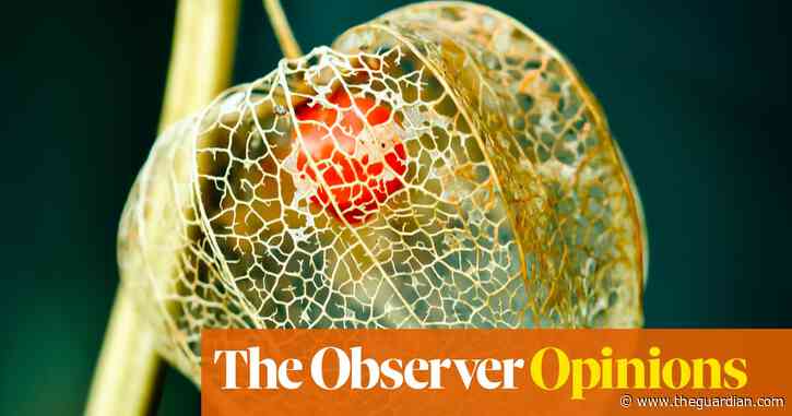 'British farmers need all the help science can offer. Time to allow gene editing'  | Sir David Baulcombe