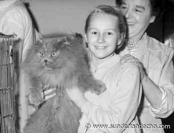 All of these photos were taken in Sunderland and County Durham in 1960: How many scenes do you remember? - Sunderland Echo