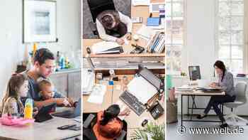 Im Büro der Zukunft müssen die Deutschen auf ihr Statussymbol verzichten