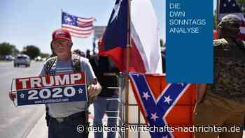 Die Proteste in den USA: Trump macht alles richtig