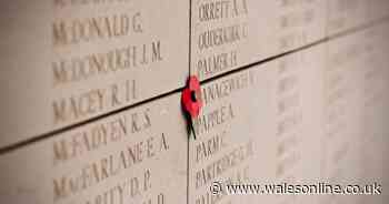 Ministers considering new law to protect war memorials