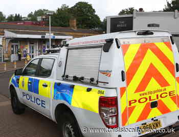 Person hit by train near Bromley South