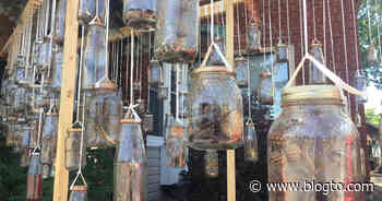 A house in Toronto with a bunch of bottles hanging out front has people curious - blogTO