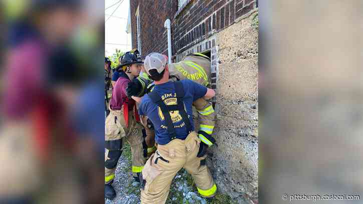 Local Firefighters Learn New Skills During Firefighter Survival Weekend