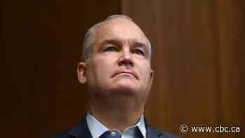 Erin O'Toole used U.S. call centre to contact Conservative voters