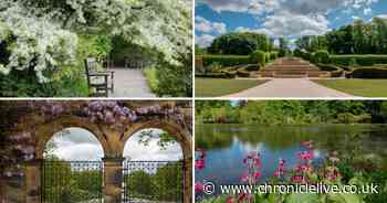 Stunning behind the scenes photos capture Alnwick Garden in bloom in lockdown