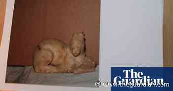 Christie's withdraws 'looted' Greek and Roman treasures