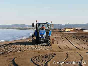 Pulizia la spiaggia di Cerveteri: Caerite in azione a Campo di mare - Terzo Binario News - TerzoBinario.it