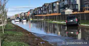 Calgary begins cleanup after ‘devastating’ storm causes major damage, flooding