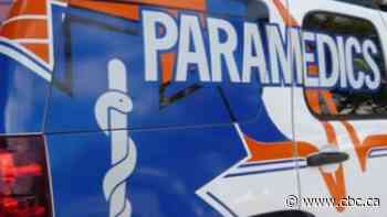 Six injured after vehicle collides with wildlife near MacDowall, Sask.