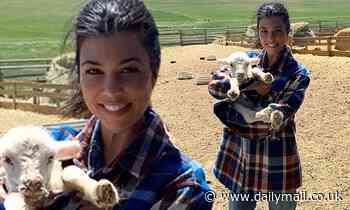 Kourtney Kardashian cuddles a baby farm animal as she poses on the open range