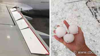 A Canadian fix for Calgary weather: WestJet protects planes from hail with hockey boards
