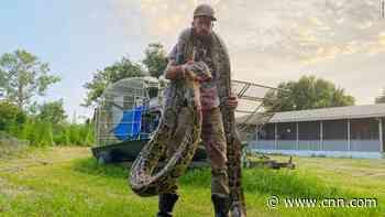 This 17-foot python put up a fierce fight before being captured