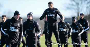 What Newcastle need to work on and why Jamaal Lascelles missed win vs Hull